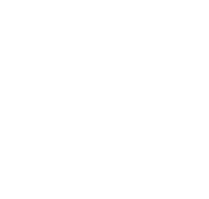 Google Partner 2024